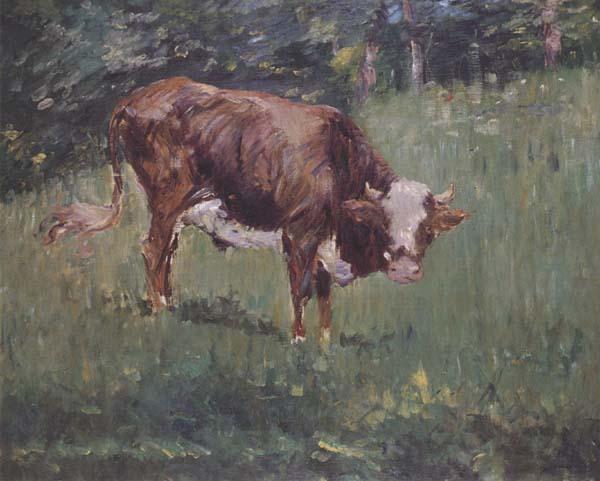 Edouard Manet Jeune taureau dans un pre (mk40) France oil painting art